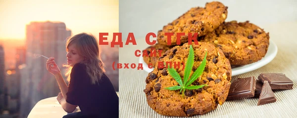 дмт Бородино
