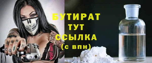 дмт Бородино