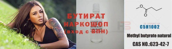 дмт Бородино