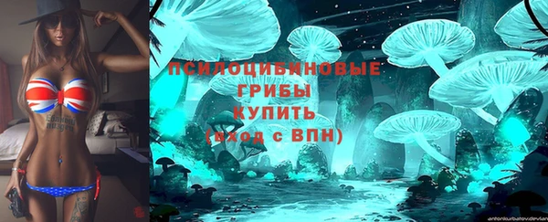 хмурый Бронницы