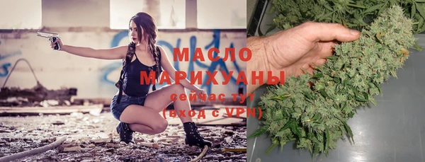 дмт Бородино