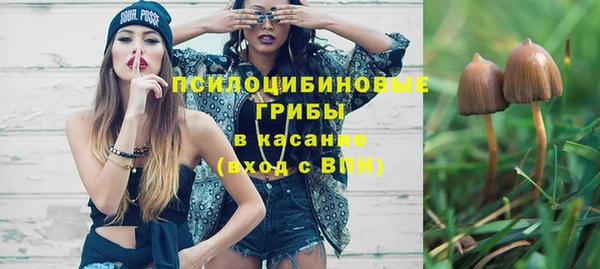 мяу мяу мука Бугульма