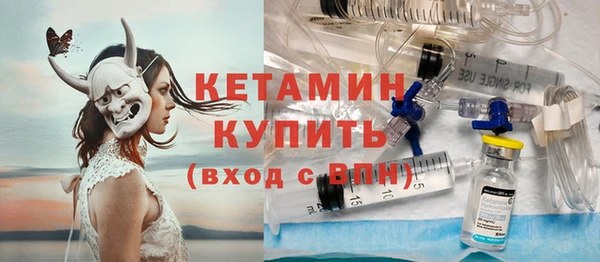 дмт Бородино
