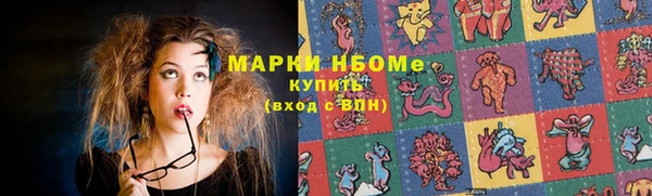 дмт Бородино