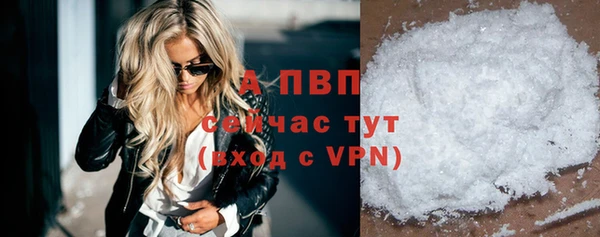 дмт Бородино
